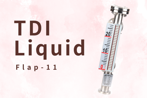 Application of Flap-11 Magnetic Level Indicator in TDI Liquid Level Measurement