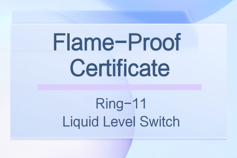 Flame-Proof Certificate of Ring-11 Liquid Level Switch