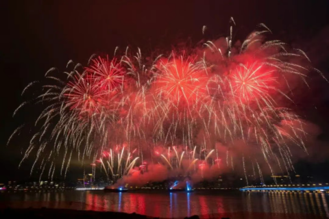 The Secret Behind Macau's Fireworks: The Vibrating Rod Level Switch Ensures Every Perfect Bloom!