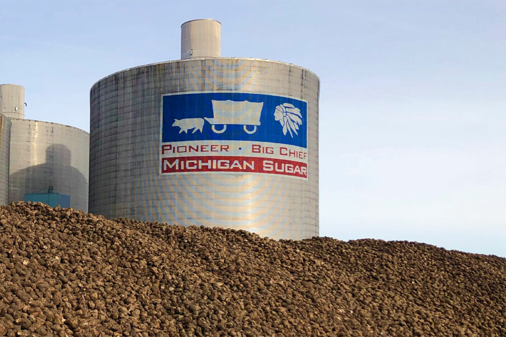Sugar Silo Reliable Sugar Silo Monitoring in High-Temperature Environments