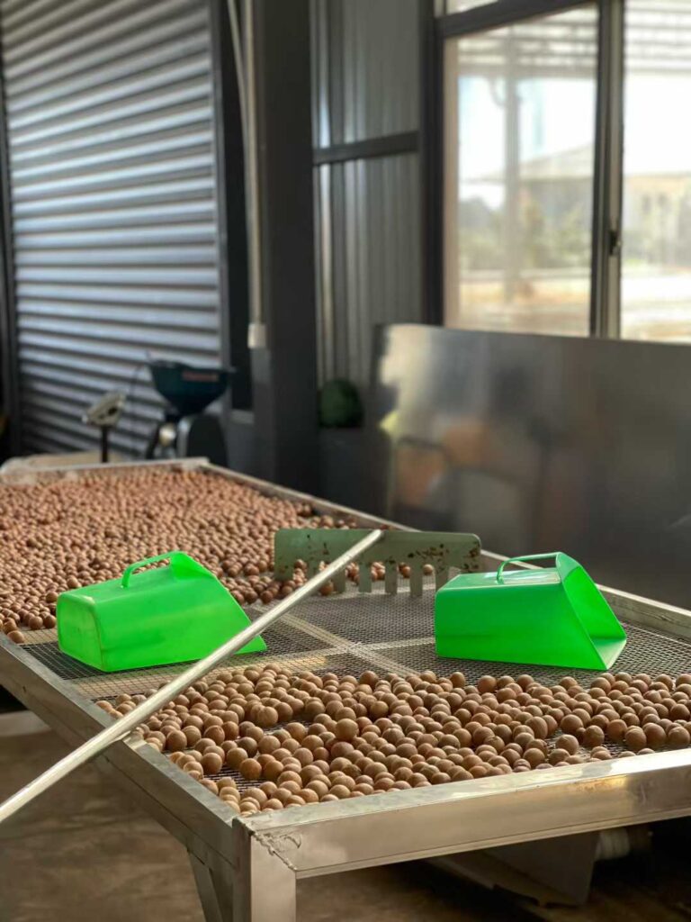Application Case of Jiwei Dual-Rod Level Switch in Coffee Bean Processing, Baoshan, Yunnan