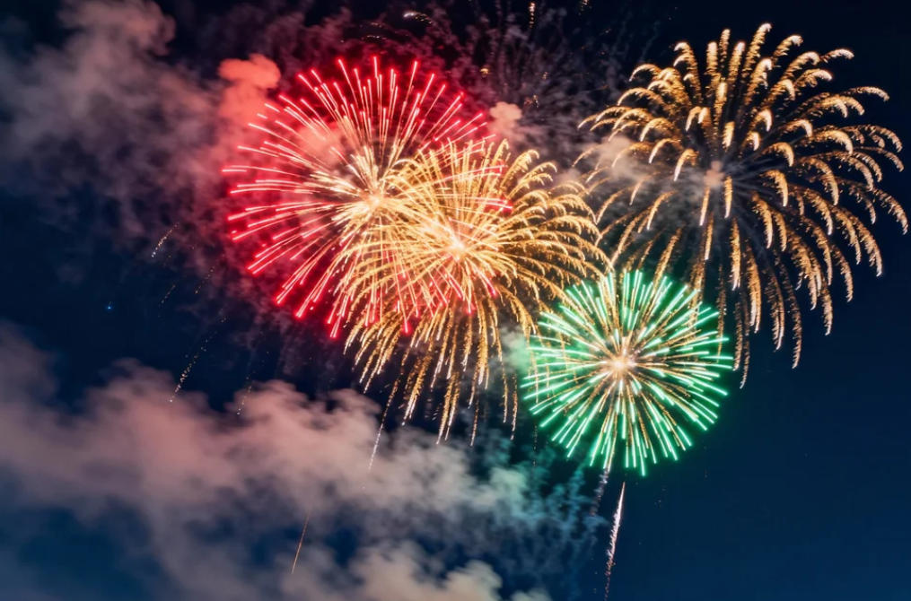 How Tube-11 Vibrating Rod Level Switch Solves Critical Detection Challenges in Hazardous Fireworks Powder Applications