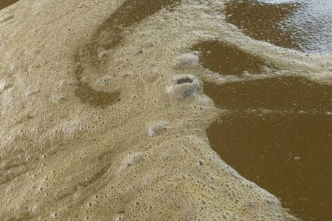 New Level Monitoring Solution for Biogas Slurry Tanks: Ring-11 Vibrating Fork Level Switch + JWrada® Radar Level Meter