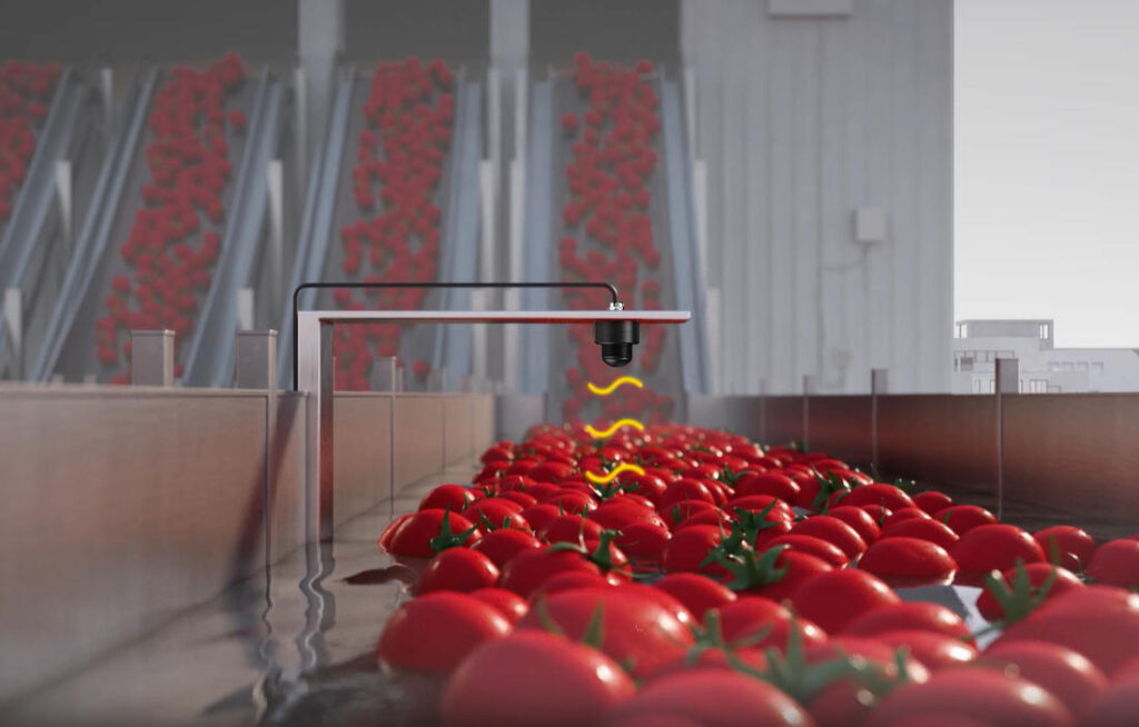 Application Case of Jiwei MINI Radar Level Meter in Tomato Washing Process