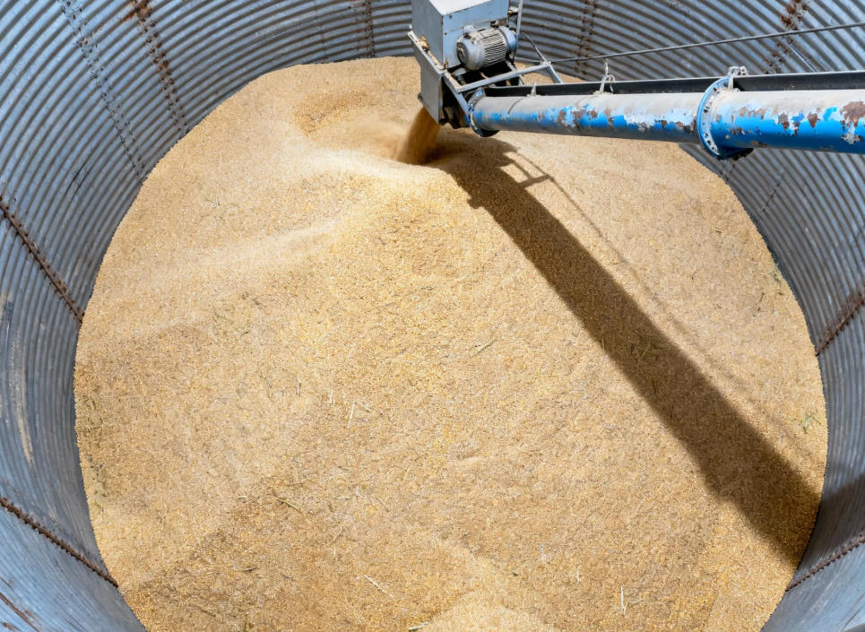 Enhancing Safety in Grain Processing with Radar Level Measurement— Application of Jiwei Radar Level Transmitters in Grain Bins and Silos