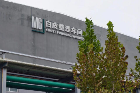 UGG Factory Feeding System: Jiwei Vibrating Rod Level Switch Application