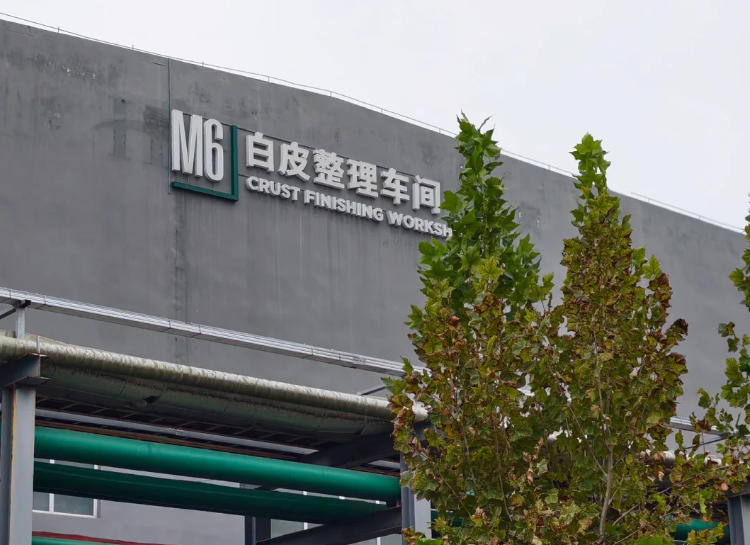 UGG Factory Feeding System: Jiwei Vibrating Rod Level Switch Application