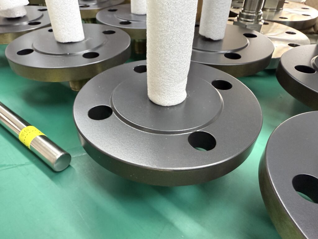 Vibrating Level Switch Coatings: Enamel, ECTFE, PFA Selection & Engineering Guide