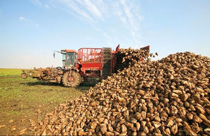 Application of Jiwei Radar Level Transmitters for Sugar Beet Conveyor Belt Level Monitoring