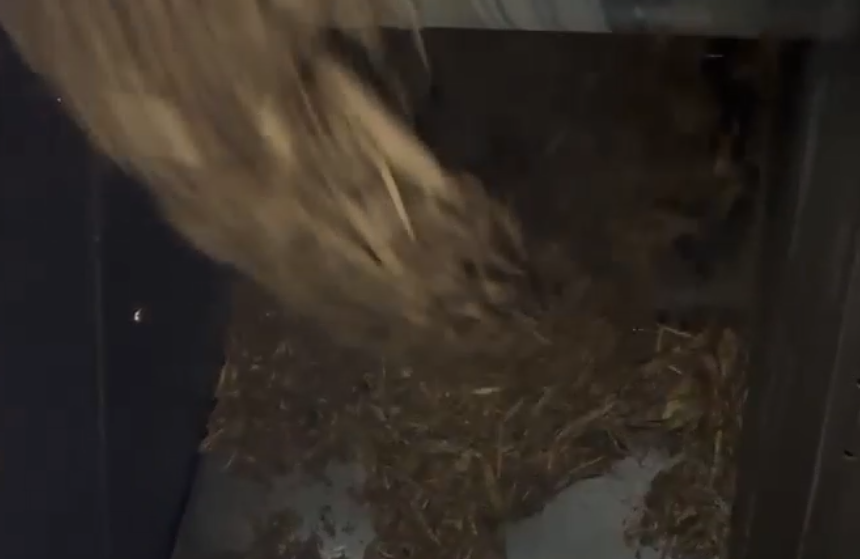 Why Vibrating Level Switches Give False Alarms: Installation Mistakes and Practical Solutions