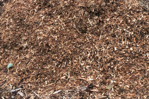 Woodchip Silo Stability in Biomass Energy Systems: How Vibrating Rod Level Switches Reduce Combustion System Risks