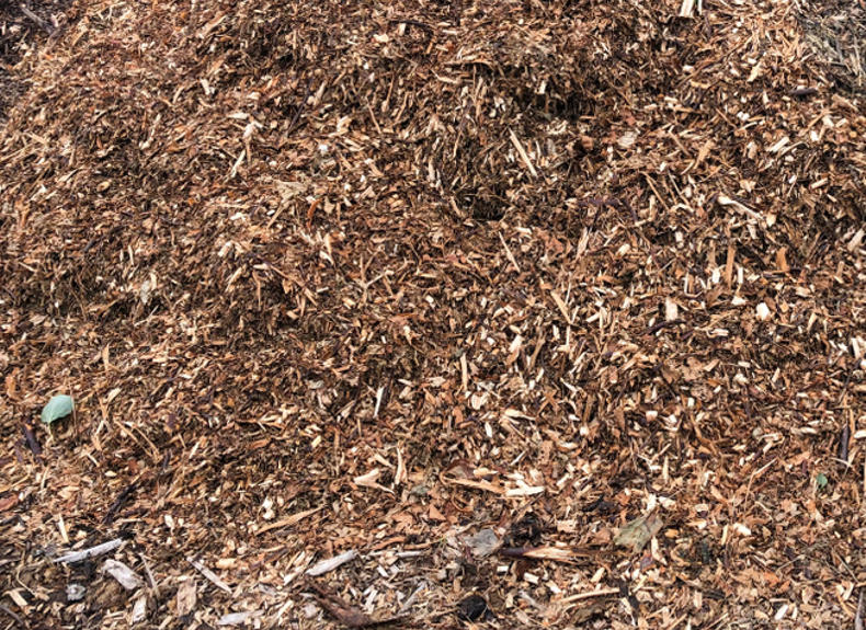 Woodchip Silo Stability in Biomass Energy Systems: How Vibrating Rod Level Switches Reduce Combustion System Risks