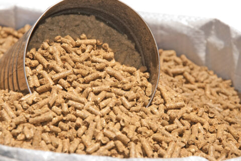 Enhancing Silo Safety with Jiwei Flameproof Rotary Level Switches at Feed Mill