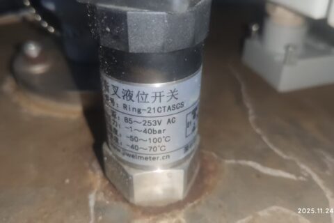 Stability Design of Mini Level Switches under Strong Electromagnetic and Mechanical Combined Interference Conditions — A Case Study of Ring-21