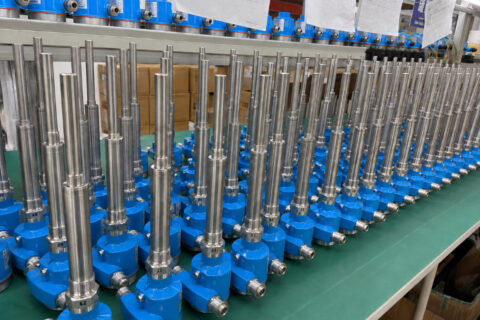 Jiwei Level Meters and Level Switches Successfully Applied in Russia, with a Single Shipment of 325 Units