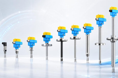 Ring-11 Tuning Fork Level Switch vs VEGASWING Series: Technical Benchmark and Industrial Applications