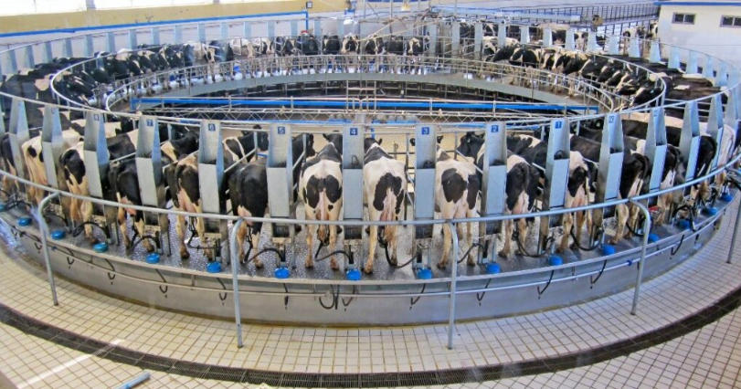 Mini Radar Level Meters for Smart Dairy Farms: Milk Level Monitoring in Milking Robots